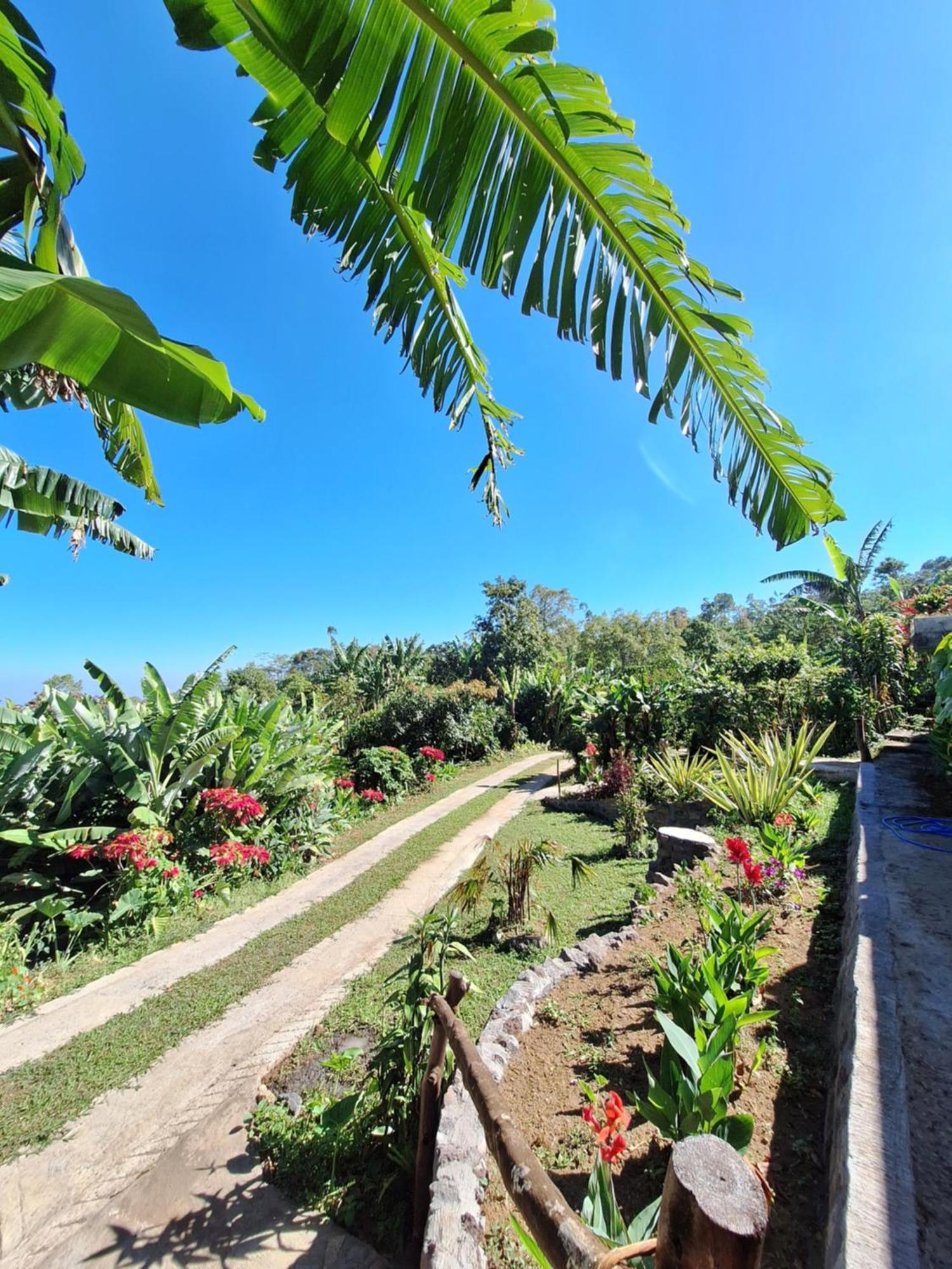 Manigelang Villa Munduk エクステリア 写真