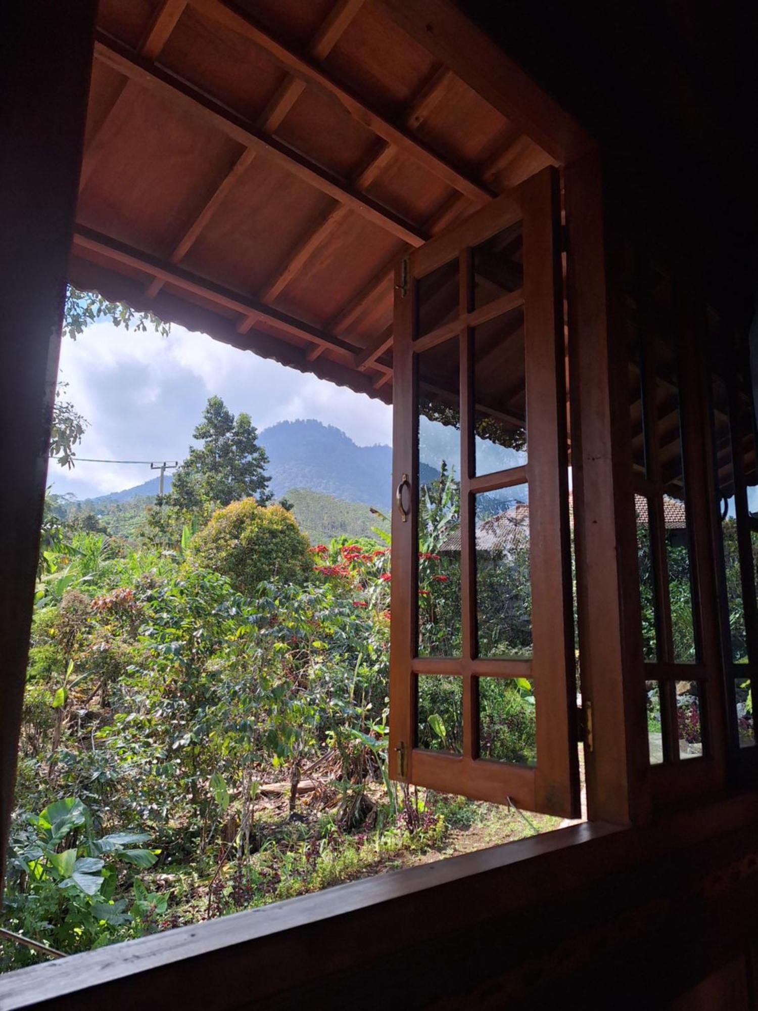 Manigelang Villa Munduk 部屋 写真