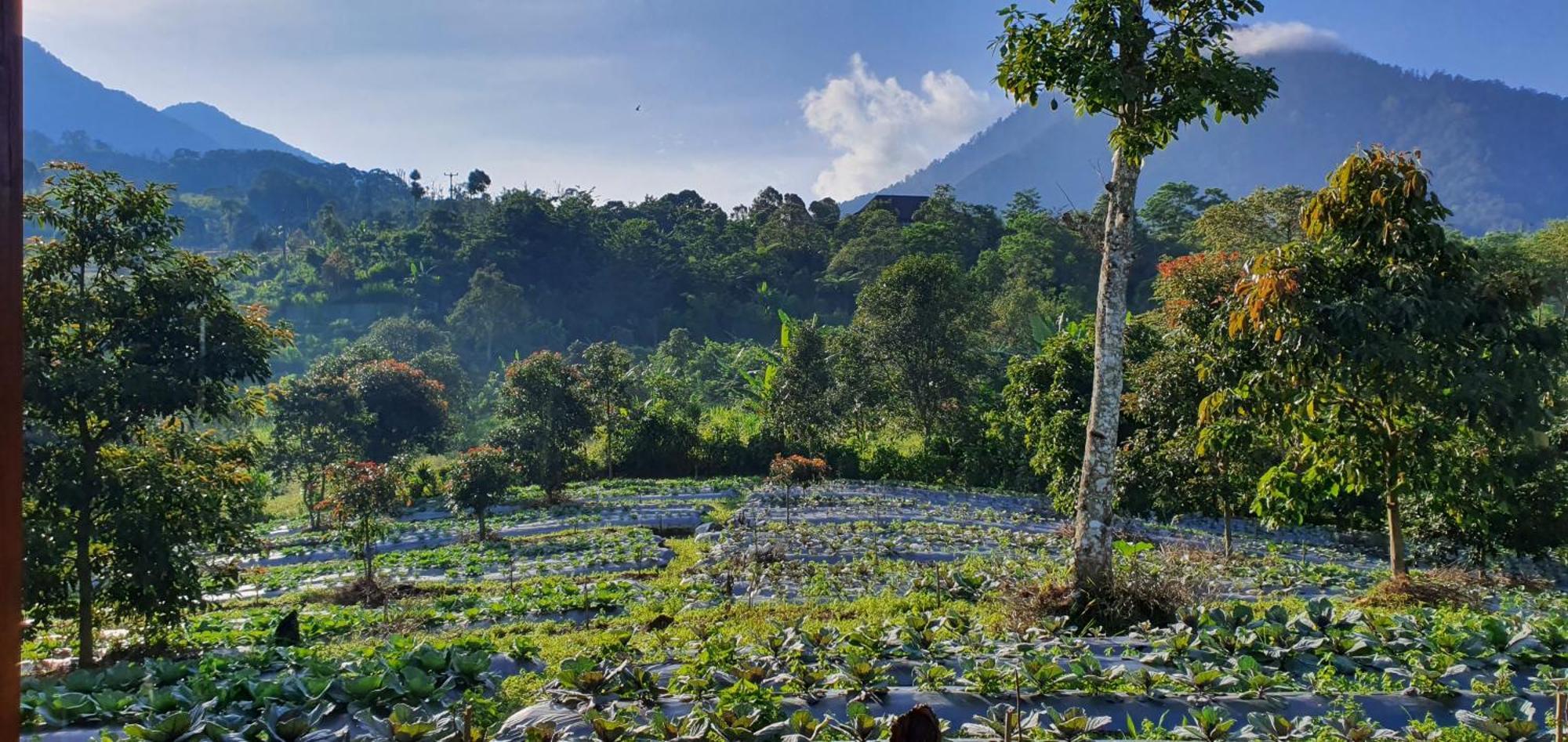 Manigelang Villa Munduk エクステリア 写真