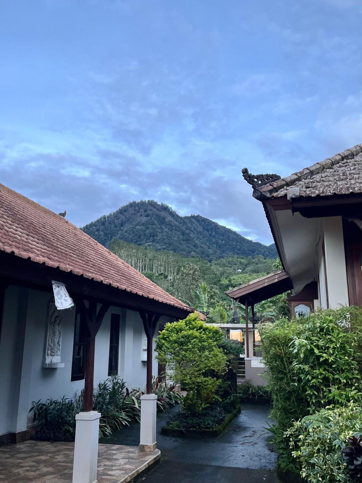 Manigelang Villa Munduk エクステリア 写真
